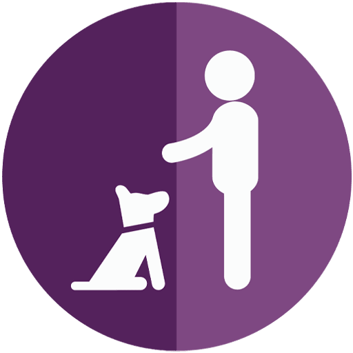 DogTraining