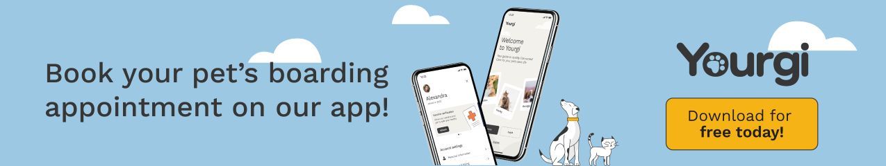 Book your pet's boarding reservation on our app!