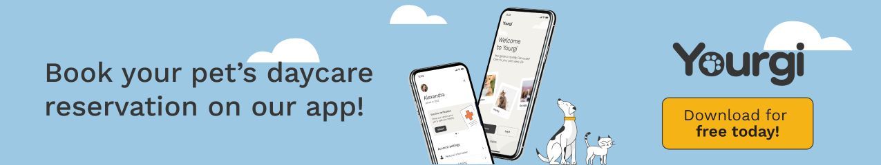 Book your pet's daycare reservation on our app!